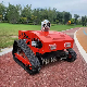  Zm750-196 Mini Robotic Lawn Mower Robot Remote Control Lawn Mowers
