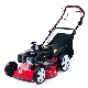  20 in Hand Push Riding Lawn Mower Factory Grass Cutting Machine