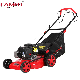  Hot Sale 16 Inch Lawn Mower