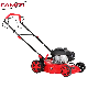  Wholesales 16 Inch Hand Push Lawnmower