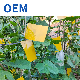  Wholesale Custom Sticky Paper Indoor Outdoor and Garden Fly Glue Trap