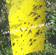 Yellow Sticky Card Insect Glue Trap Fly Glue Catcher Yellow Sticky Traps Manufacturer for Agricultural Plant Protection in Greenhouse manufacturer