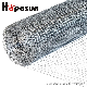 High Quality Hot Galvanized Welded Wire Mesh in Rolls