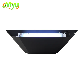 Black Wall Sconce Insect Light Trap Mosquito Killer Lamp with Glue Board