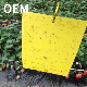 Support Customization Outdoor Mosquitoes Killer Yellow Square Sticky Fly Trap manufacturer