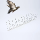 Fence Use Pigeon Bird Scarer Strips Devices Durable Anti Bird Spike