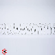 High Quality Outdoor Pigeon & Bird Deterrent Stainless Steel Bird Coil manufacturer