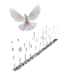  Gkss-3: Metal Ground Spikes Bird Control Device Anti Pigeon