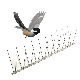  Gkpc-63: Stainless Steel Bird Spike Anti Pigeon Spikes