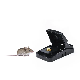 Humane Plastic Pest Control Indoor Mouse Killer Trap Rat Trap manufacturer