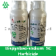  Bispyribac-Sodium Sc (100g/l, 105g/l, 115g/l, 200g/l, 400g/l) Herbicide Pesticide for Weeds Control