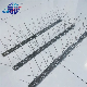  Plastic Bird and Pigeon Spikes Anti Bird Spikes Stainless Steel Pest Control