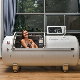  Macy Pan 1501 Affordable Hard Shell Hyperbaric Oxygen Treatment Hbot Therapy Sitting Sleeping Diving Chamber for Home/SPA/Athletes/Beauty Sports Use for Sale