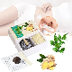  Free Sample Detox Slimming Patch Weight Loss Patch Slim Patch Pads