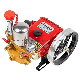  22# High Pressure Three Cylinder Plunger Pump for Power Sprayer