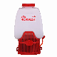 25L Agricultural Motorized Knapsack Power Sprayer (HS-25L) manufacturer