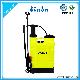  12L Agricultural Knapsack Hand 2 in 1 Manual and Battery Power Pressure Backpack Pump Sprayer