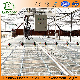 Agriculture Greenhouse Sprinkler Irrigation Systems