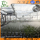 Greenhouse Modern Technology Sprinkler System