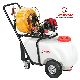 1.2HP Garden Sprayer for Agriculture/Garden/Home TM-50L