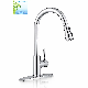  Pull Down Kitchen Faucet Faucet Kitchen Stainless Steel Kitchen Faucet Sprayer Polished Chrome