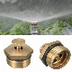  Brass Atomizing Misting Nozzle for Garden Lawn Irrigation System