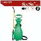  5L Garden Tool Agriculture Weed Water Backpack Pressure Power Sprayer (SX-CS5H)