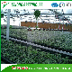  Self-Propelled Sprinkler with Three-Position Head for Greenhouse Irrigation System/Greenhouse Facility