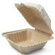  Green Biodegradable Lunch Food Packing Box Packaging