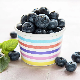  Customized Cheap Disposable Paper Ice Cream Cup/Bowl/Packaging