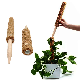  3 Sizes Stackable Ajustable Climbing Thicken Pole Coconut Palm Coir Moss Stick for Plant
