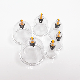 Vacuum PS Cupping Therapy Suction Cups (6 sizes) Acupuncture