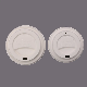 Biodegradable Paper Bagasse coffee Cup Lid
