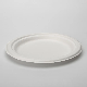  Disposable Eco-Friendly Manufactural Natural or White Sugarcane Bagasse Pulp Paper Square or Rectangle Plate for Fruit Made in China Price
