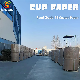 Grade AA Paper Cup Base Paper factory wholesale