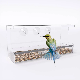 Window Bird Bath Acrylic House Feeder Suction Cup Idbf006