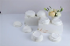 100% Biodegradable Bagasse Pulp Disposable Paper Coffee Cup Lid