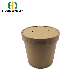  Food Packaging Disposable Takeaway Paper Soup Cup