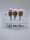  28mm Bamboo Water Transfer Printing Lotion Pump for Gel Dispenser
