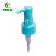 Blue Plastic Foam Pump with Shampoo manufacturer