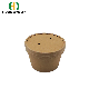  Standard Paper Cups with Lids for Hot Soup and General Packings