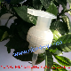 40mm Fine Plastic Foam Pump with Clear Cover or Lock Switch