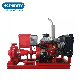  Wholesale Split Case Pump Double Suction Sewage Pump