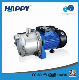  Horizontal Stainless Steel Happy Carton CE, ISO9001, RoHS Waste Price Water Pump
