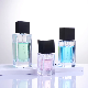Spot Wholesale 30ml 50ml Perfume Subpackage Empty Bottle with Pump Sprayer