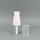  Popular Design 18/410 20/410 24/410 28/410 Alcohol Disinfection Perfume Spray Gold Nozzle Atomizer All Plastic Fine Mist Trigger Sprayer for Glass Bottle