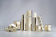  Cosmetic Packing Golden Lotion Bottle and Pump
