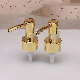  Shiny Gold Rose Gold ABS PP Lotion Pump PP Dispenser Pump for Cosmetic Bathroom