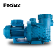  New Arrival 1.0-4.0HP Swimming Pool Pump for Household, Residential, Commercial Pool Pool Water Filtration System