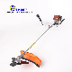  31cc 4 Stroke Backpack Grass Trimmer Garden Tool Petrol Gas Cutter Gasoline Brush Cutter (HS-BC139)
